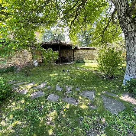 Sveti Georgi Unique Affittacamere *